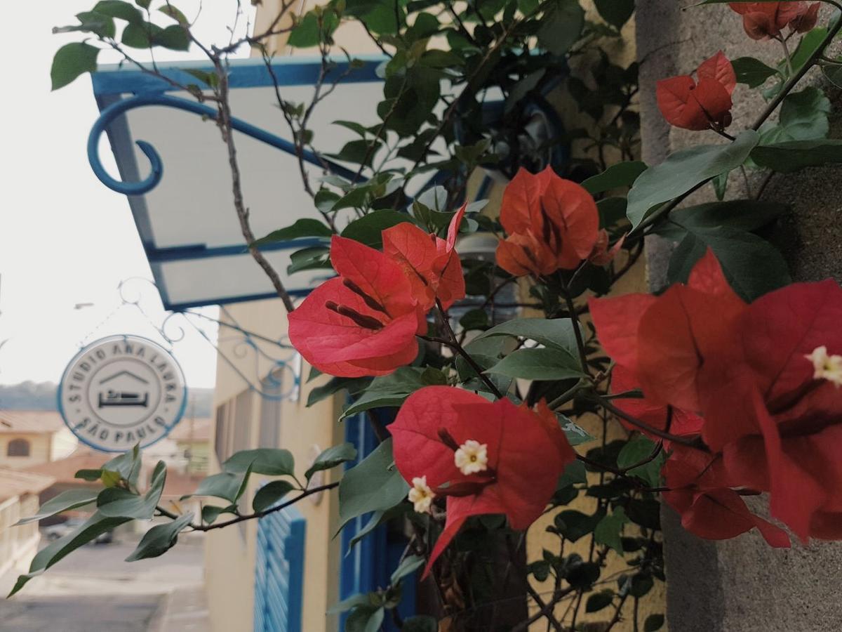 Studio Ana Laura Σάο Πάολο Εξωτερικό φωτογραφία